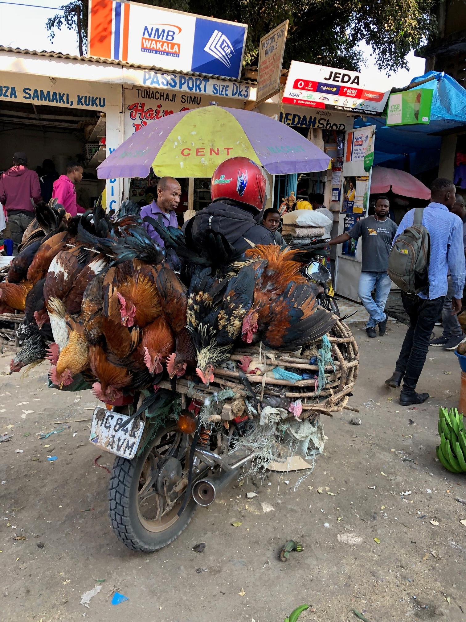 Unser erstes freies Wochenende